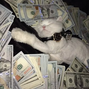 国产高清视频青青青在线
